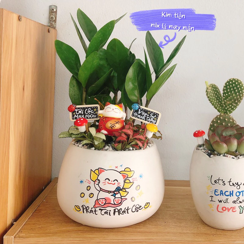 Chậu cây để bàn đẹp, điểm nhấn hoàn hảo cho không gian sống và làm việc thêm tươi mới và tràn đầy sức sống. Chậu cây để bàn đẹp, điểm nhấn hoàn hảo cho không gian sống và làm việc thêm tươi mới và tràn đầy sức sống.