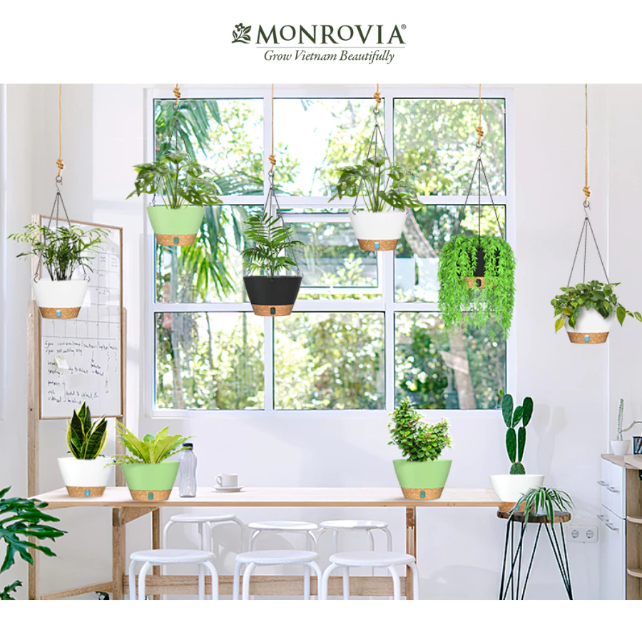 Bạn đã sẵn sàng 'xanh hóa' ban công của mình với những chiếc chậu cây treo ban công tiện lợi và đẹp mắt này chưa? Bạn đã sẵn sàng 'xanh hóa' ban công của mình với những chiếc chậu cây treo ban công tiện lợi và đẹp mắt này chưa?