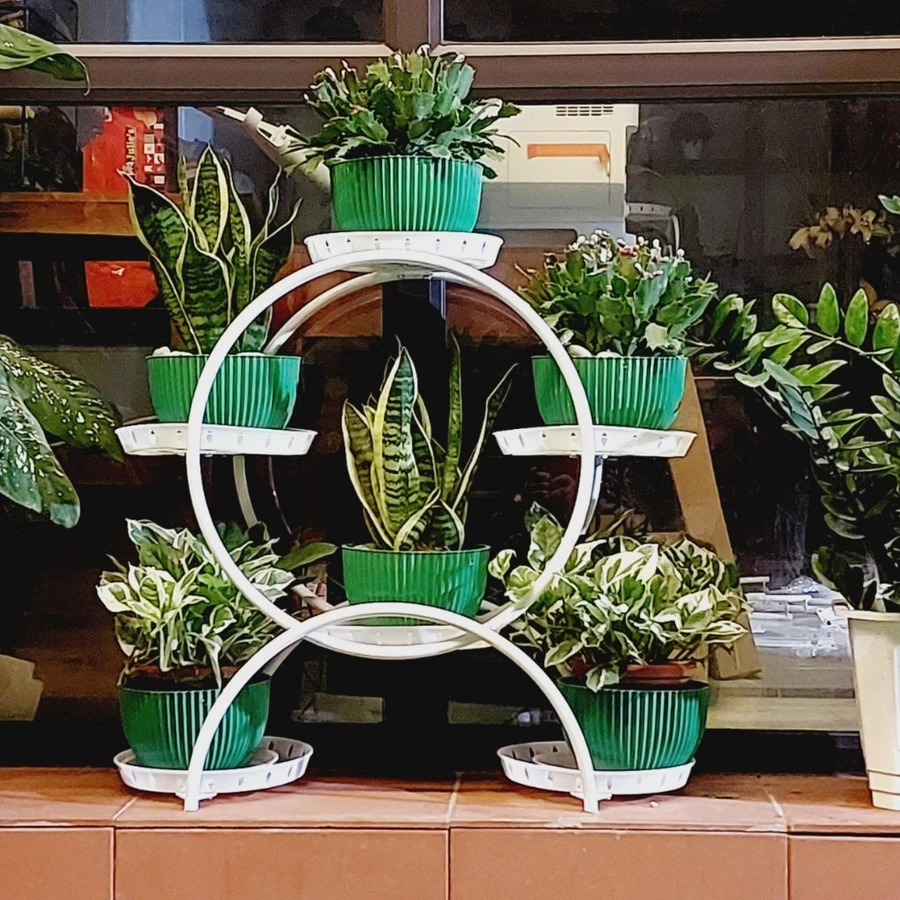 Kệ sắt để cây cảnh ngoài trời bền bỉ, thiết kế tinh tế, là lựa chọn lý tưởng để tô điểm cho không gian ngoài trời thêm phần xanh tươi và phong cách! Kệ sắt để cây cảnh ngoài trời bền bỉ, thiết kế tinh tế, là lựa chọn lý tưởng để tô điểm cho không gian ngoài trời thêm phần xanh tươi và phong cách!