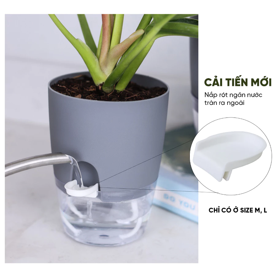 Đây là mẫu chậu trồng cây tự tưới, cao cấp đang được ưa chuộng Đây là mẫu chậu trồng cây tự tưới, cao cấp đang được ưa chuộng