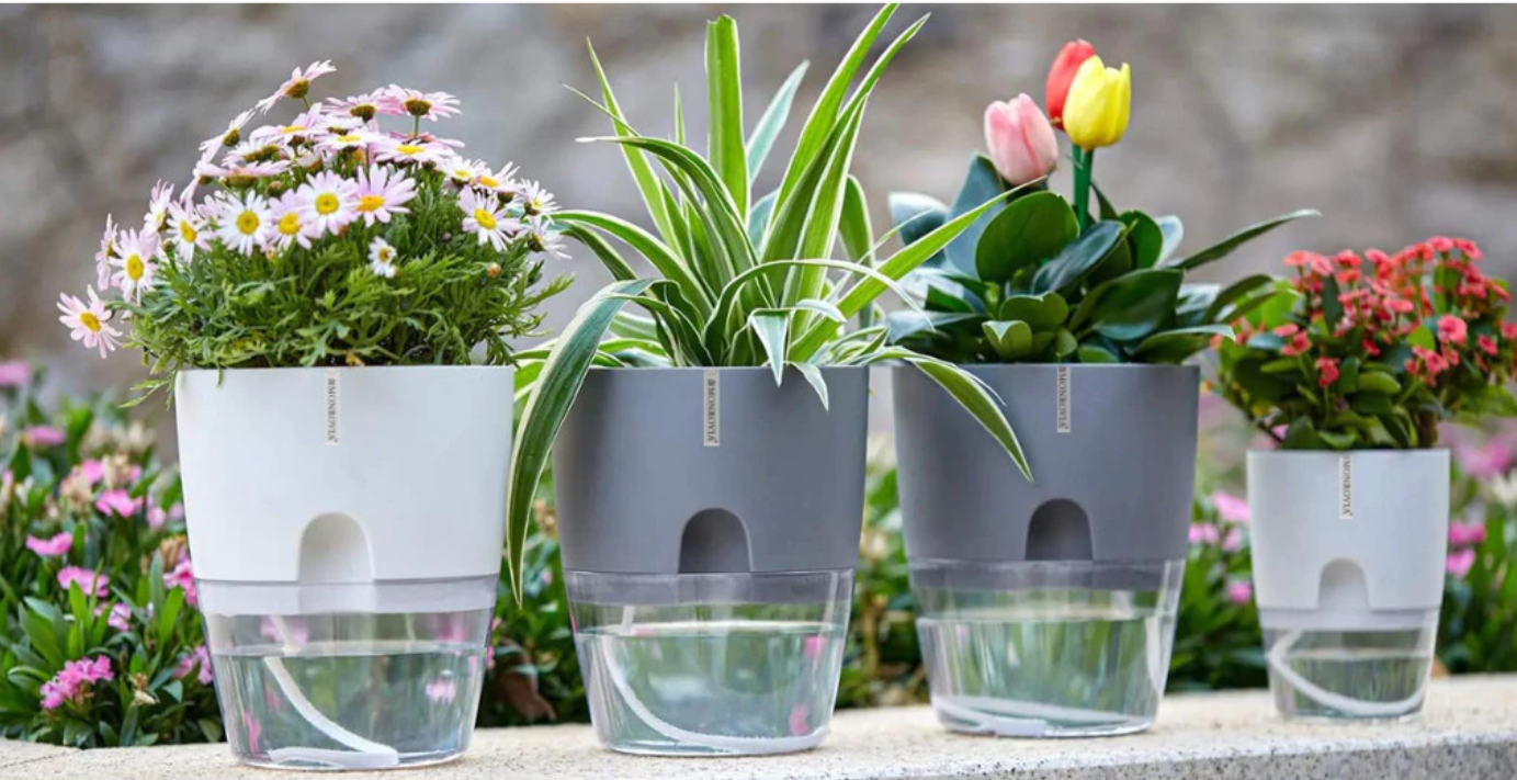 chậu nhựa trồng cây – Lựa chọn lý tưởng để bắt đầu vườn cây xanh mát của bạn, bền bỉ, nhẹ nhàng và đầy màu sắc cho mọi không gian. chậu nhựa trồng cây – Lựa chọn lý tưởng để bắt đầu vườn cây xanh mát của bạn, bền bỉ, nhẹ nhàng và đầy màu sắc cho mọi không gian.