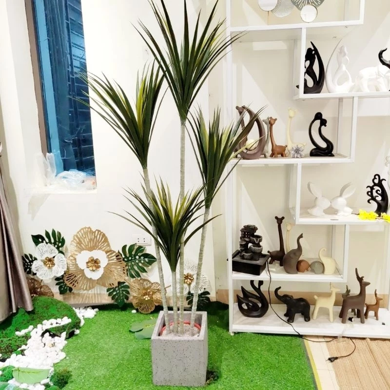 Cây phát tài núi giả chính là lựa chọn thông minh dành cho bạn! Cây phát tài núi giả chính là lựa chọn thông minh dành cho bạn!