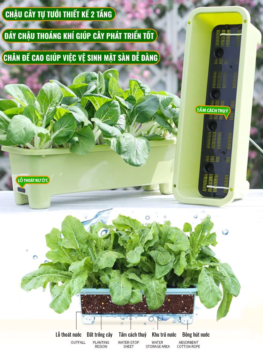 Chậu trồng rau được làm từ nhựa PP nguyên sinh, đảm bảo an toàn cho sức khỏe Chậu trồng rau được làm từ nhựa PP nguyên sinh, đảm bảo an toàn cho sức khỏe