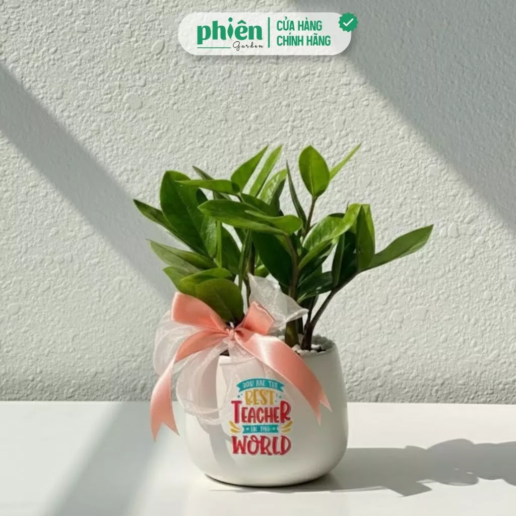 Chậu cây cảnh đẹp phong thủy không chỉ trang trí mà còn tượng trưng cho tài lộc và thịnh vượng. Chậu cây cảnh đẹp phong thủy không chỉ trang trí mà còn tượng trưng cho tài lộc và thịnh vượng.