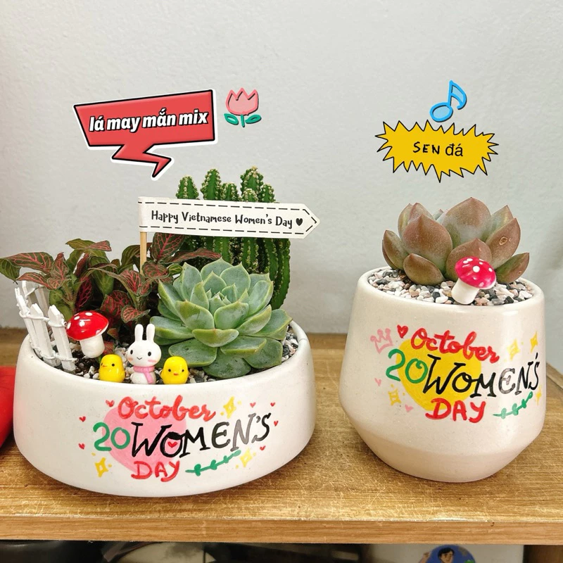 chậu cảnh đẹp được mix những cây phong thủy giúp thu hút tài lộc, may mắn, là quà tặng dễ thương chậu cảnh đẹp được mix những cây phong thủy giúp thu hút tài lộc, may mắn, là quà tặng dễ thương