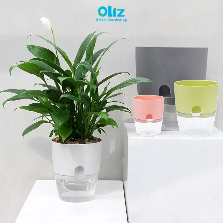 Mẫu chậu cảnh đẹp thông minh, tự tưới nhỏ nhắn màu trắng sang trọng . Mẫu chậu cảnh đẹp thông minh, tự tưới nhỏ nhắn màu trắng sang trọng .