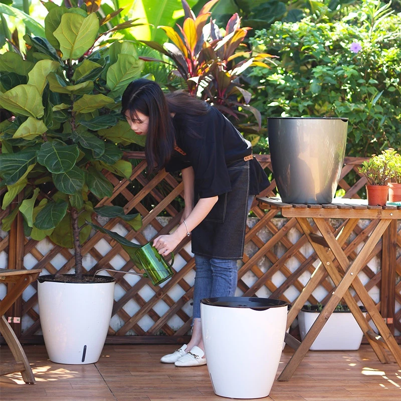 Nếu chậu cảnh gốm sứ nặng và dễ vỡ, bạn có thể thay thế bằng chậu cảnh nhựa thông minh, tự tưới nhẹ và đẹp Nếu chậu cảnh gốm sứ nặng và dễ vỡ, bạn có thể thay thế bằng chậu cảnh nhựa thông minh, tự tưới nhẹ và đẹp