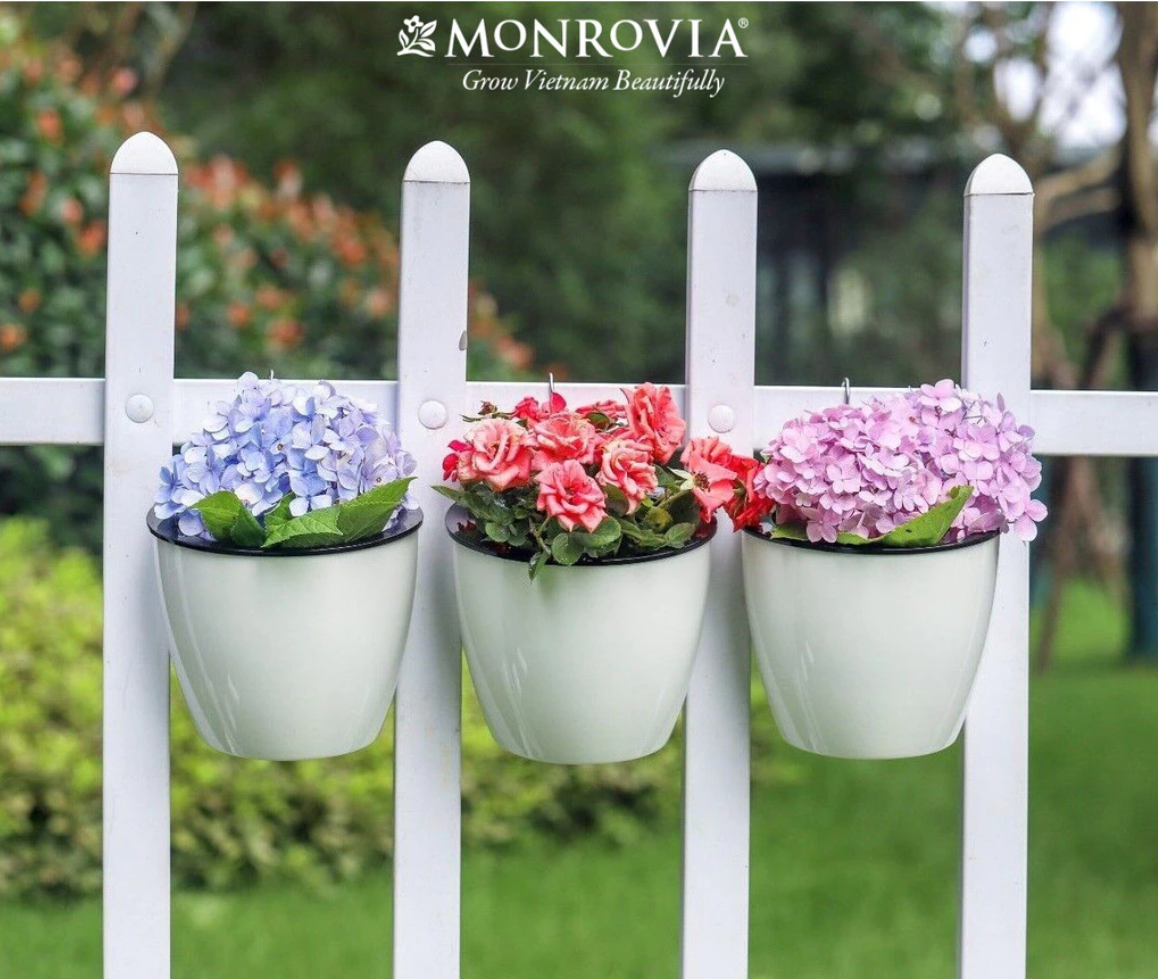 Mẫu chậu cảnh đẹp tự tưới treo hàng rào giúp cây luôn đủ nước Mẫu chậu cảnh đẹp tự tưới treo hàng rào giúp cây luôn đủ nước