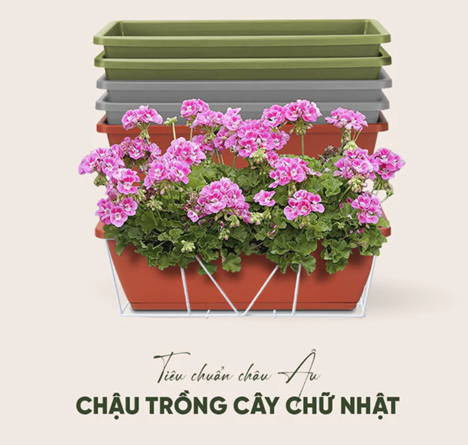 Chậu cảnh đẹp treo ban công với móc treo giúp bạn thoải mái trồng hoa cảnh Chậu cảnh đẹp treo ban công với móc treo giúp bạn thoải mái trồng hoa cảnh
