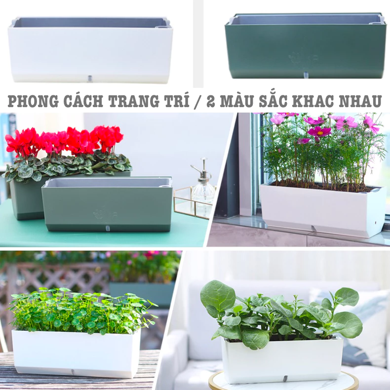 Chậu cảnh đẹp thông minh, tự tưới là lựa chọn tuyệt với cho không gian nhà bạn. Sang trọng và tinh tế Chậu cảnh đẹp thông minh, tự tưới là lựa chọn tuyệt với cho không gian nhà bạn. Sang trọng và tinh tế