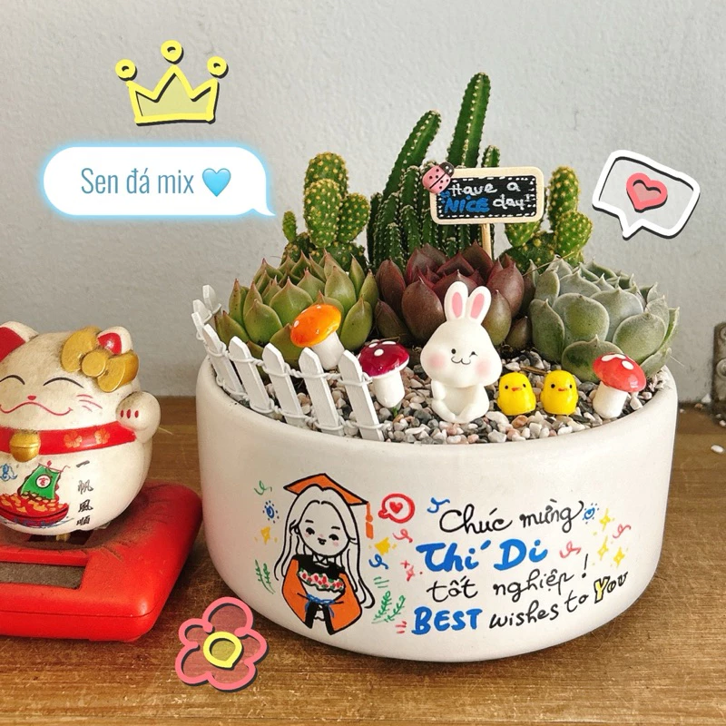 Chậu cảnh đẹp phối xương rồng, sen đá phong thủy là món quà ý nghĩa cho dân văn phòng Chậu cảnh đẹp phối xương rồng, sen đá phong thủy là món quà ý nghĩa cho dân văn phòng