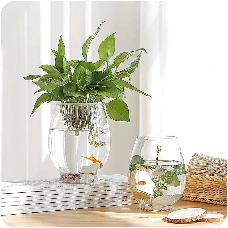 Chậu cảnh đẹp thủy sinh cũng là ý tưởng hay cho không gian lãng mạn Chậu cảnh đẹp thủy sinh cũng là ý tưởng hay cho không gian lãng mạn