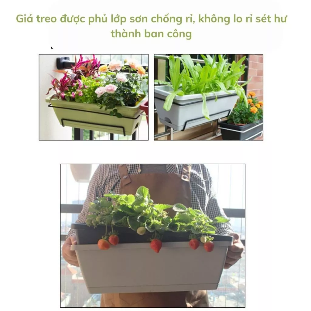 Mua chậu cảnh trang trí hiên nhà, hàng rào Mua chậu cảnh trang trí hiên nhà, hàng rào