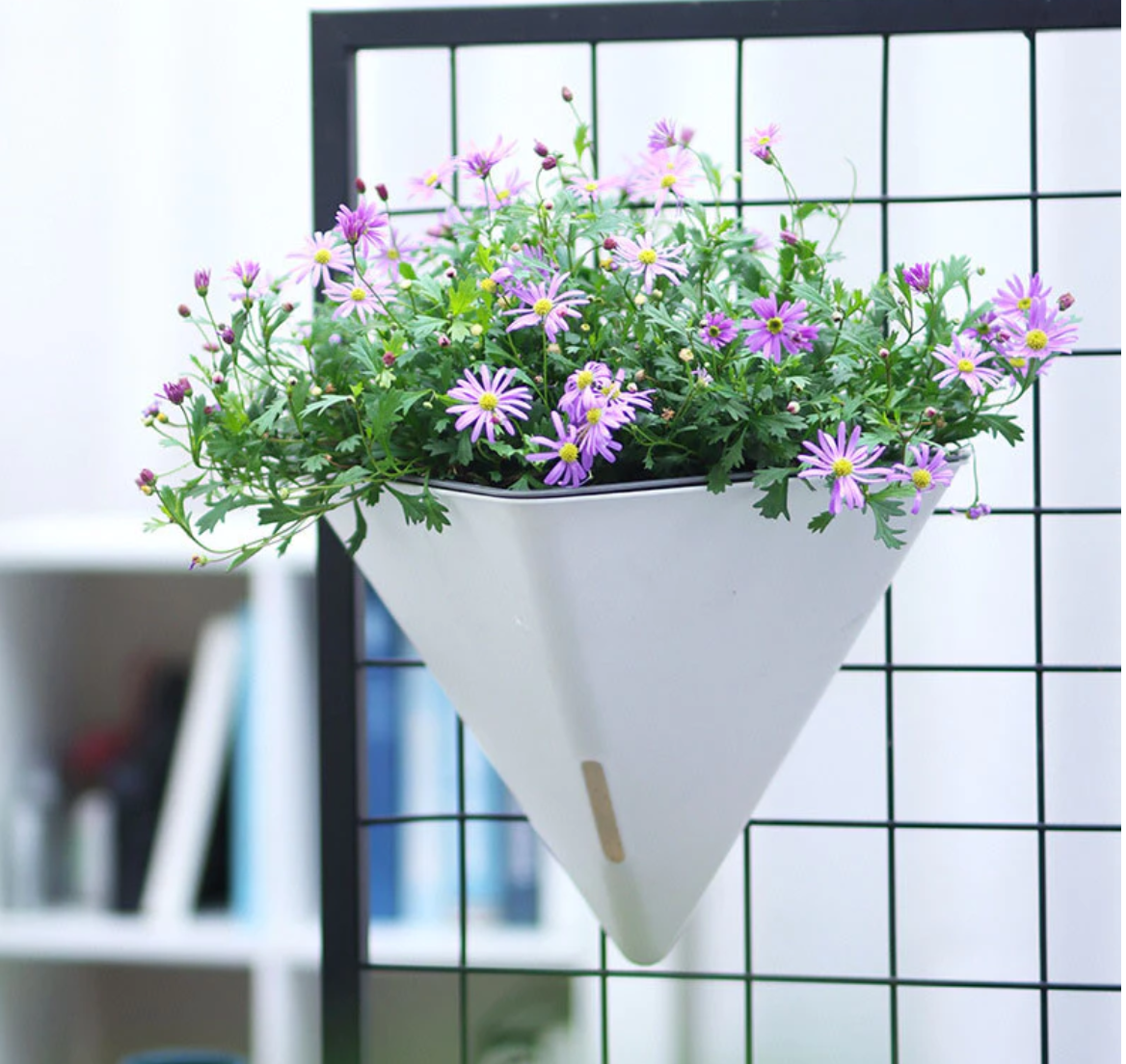 mẫu chậu cảnh đẹp treo tường hay treo ban công cũng tối ưu không gian mẫu chậu cảnh đẹp treo tường hay treo ban công cũng tối ưu không gian