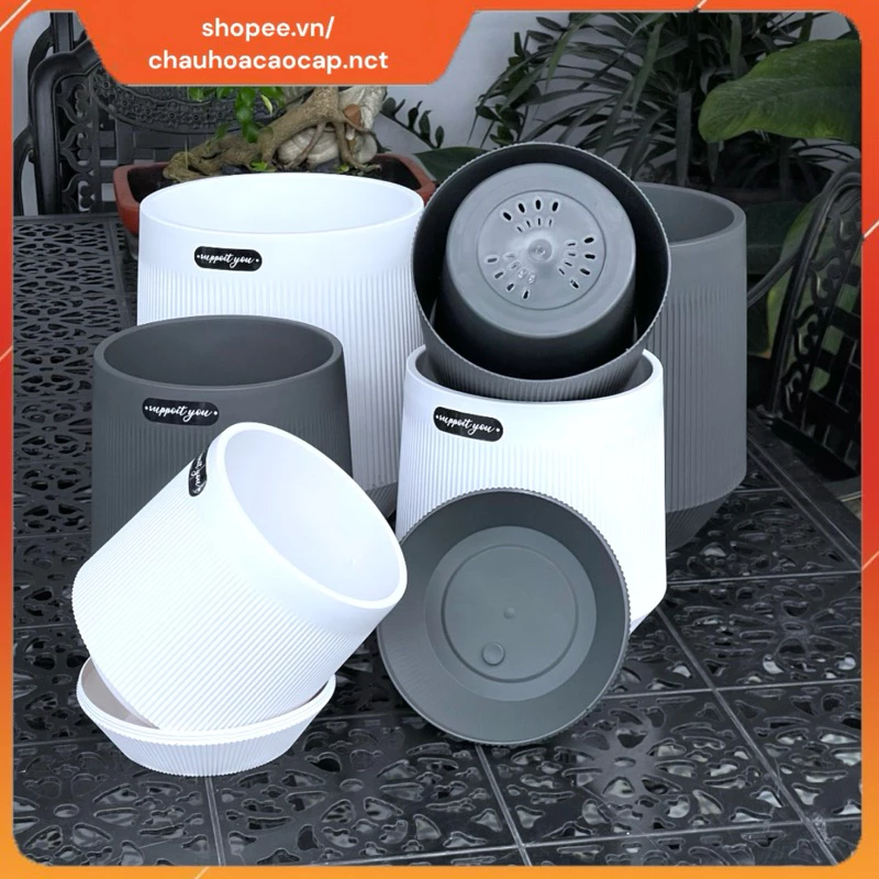 Biến ban công thành khu vườn mini cùng chậu trồng cây nhựa giả sứ. Biến ban công thành khu vườn mini cùng chậu trồng cây nhựa giả sứ.