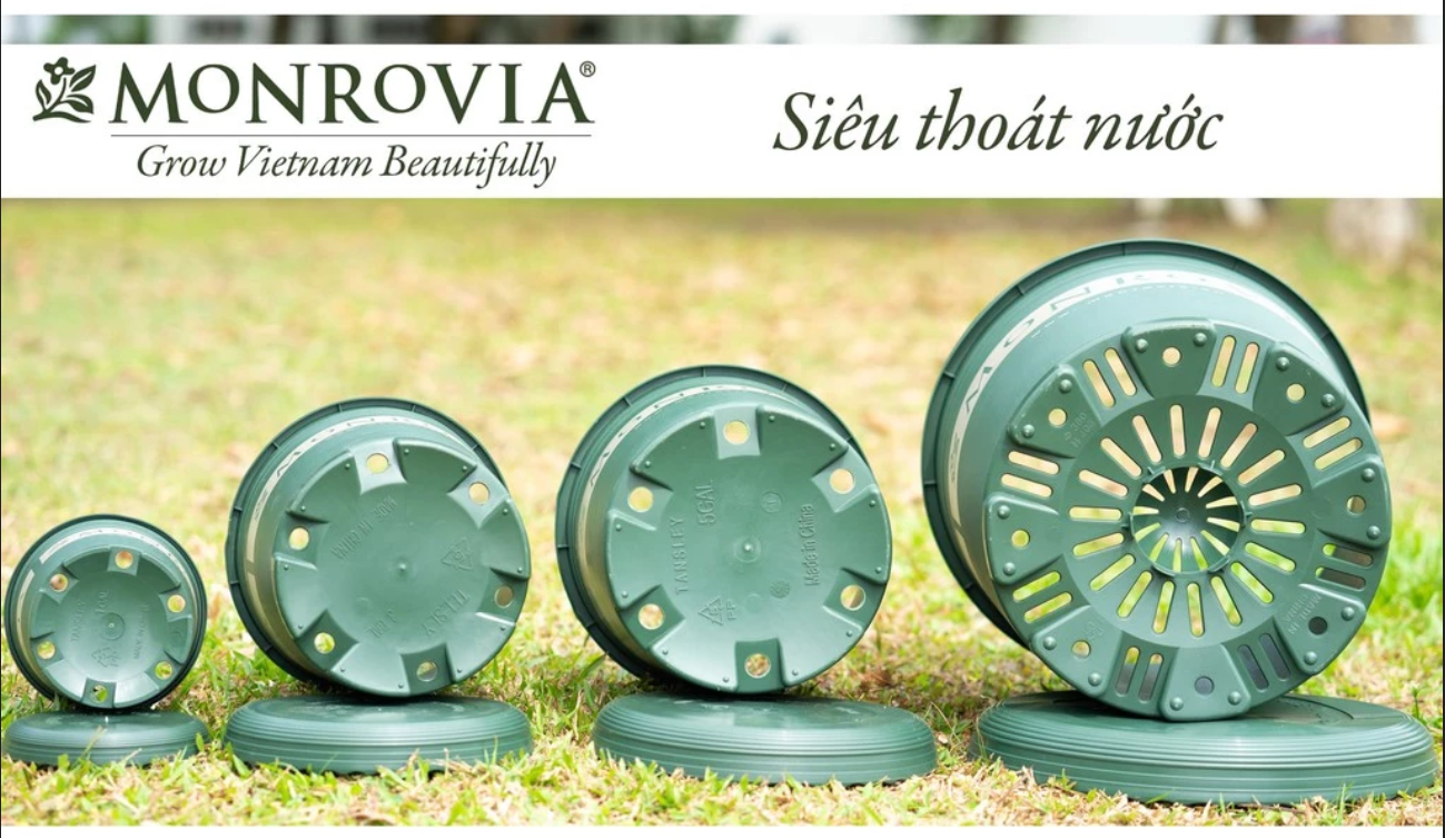 Mẫu chậu cảnh đẹp bền bỉ, có lỗ thoát nước Mẫu chậu cảnh đẹp bền bỉ, có lỗ thoát nước