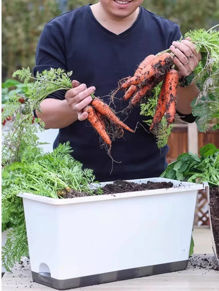 Đây là mẫu chậu cảnh thông minh tự tưới, có thể trồng cây cảnh và rau củ Đây là mẫu chậu cảnh thông minh tự tưới, có thể trồng cây cảnh và rau củ