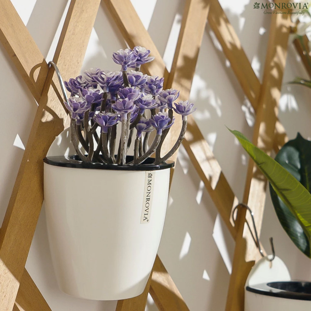 Chậu cây treo tường sáng tạo, tiết kiệm không gian, là cách tuyệt vời để mang thiên nhiên vào ngôi nhà của bạn một cách tinh tế và độc đáo Chậu cây treo tường sáng tạo, tiết kiệm không gian, là cách tuyệt vời để mang thiên nhiên vào ngôi nhà của bạn một cách tinh tế và độc đáo