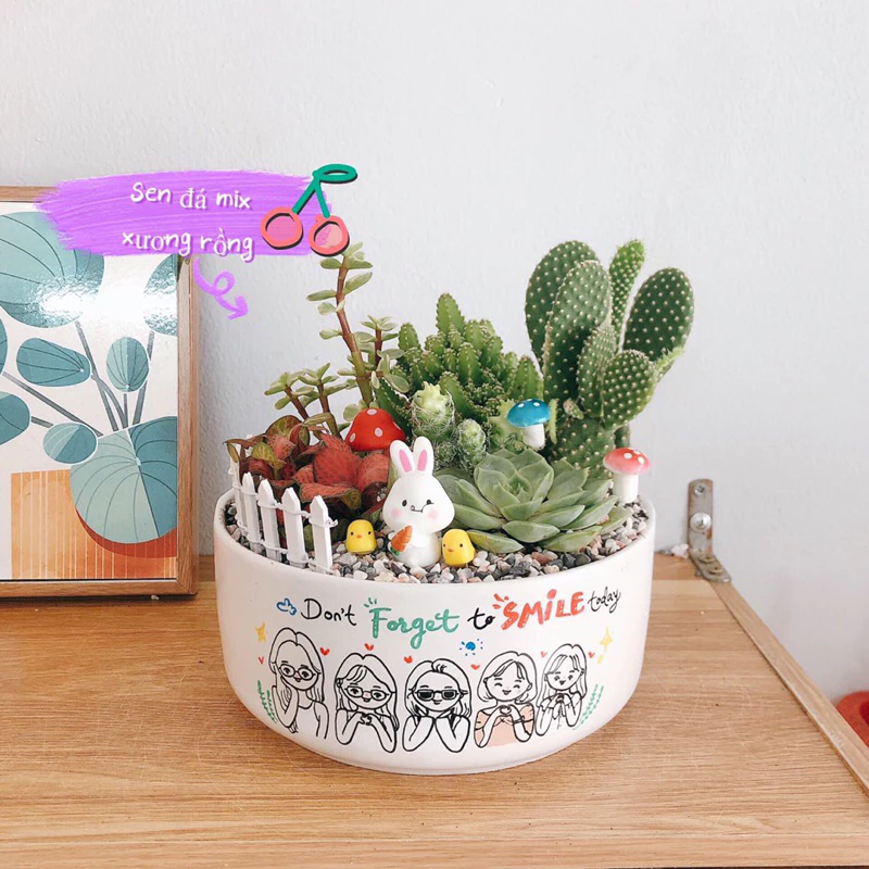 chậu cây để bàn làm việc - món quà xanh ý nghĩa cho những người bạn yêu quý chậu cây để bàn làm việc - món quà xanh ý nghĩa cho những người bạn yêu quý