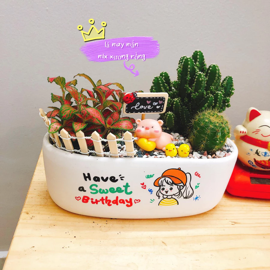 Bằng cách lựa chọn đúng cây và chăm sóc đúng cách, bạn sẽ có một chậu cảnh đẹp mắt, tươi mới và đầy sức sống. Bằng cách lựa chọn đúng cây và chăm sóc đúng cách, bạn sẽ có một chậu cảnh đẹp mắt, tươi mới và đầy sức sống.