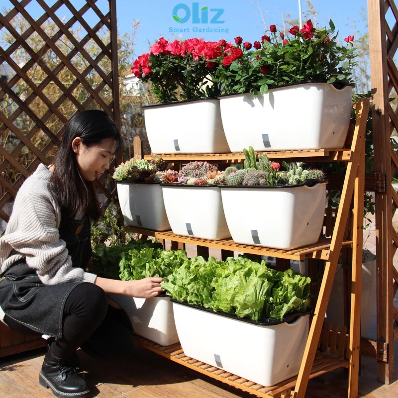 Chậu cảnh đẹp sẽ tạo điểm nhấn cho khu vườn xinh Chậu cảnh đẹp sẽ tạo điểm nhấn cho khu vườn xinh