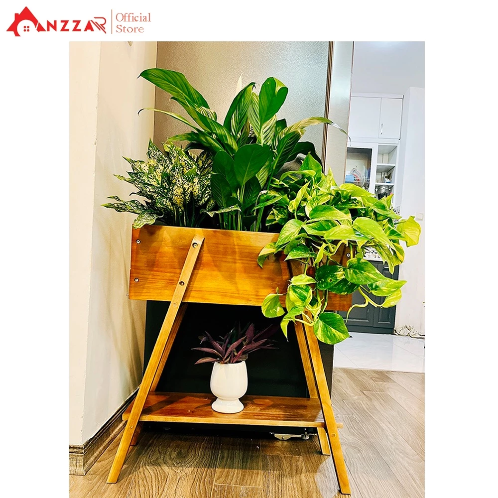 Chậu cây cảnh độc đáo bằng gỗ tự nhiên thu hút vượng khí vào nhà Chậu cây cảnh độc đáo bằng gỗ tự nhiên thu hút vượng khí vào nhà