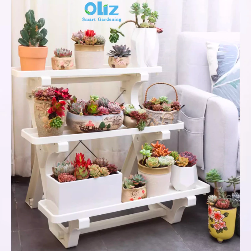 Những mẫu chậu cảnh đẹp trồng cây nhiều màu sắc tạo lên không gian sống động Những mẫu chậu cảnh đẹp trồng cây nhiều màu sắc tạo lên không gian sống động