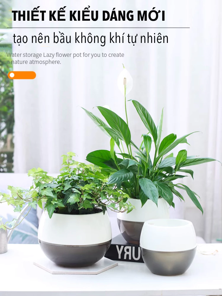 chậu cây mini để bàn còn mang đến cảm giác thư thái chậu cây mini để bàn còn mang đến cảm giác thư thái