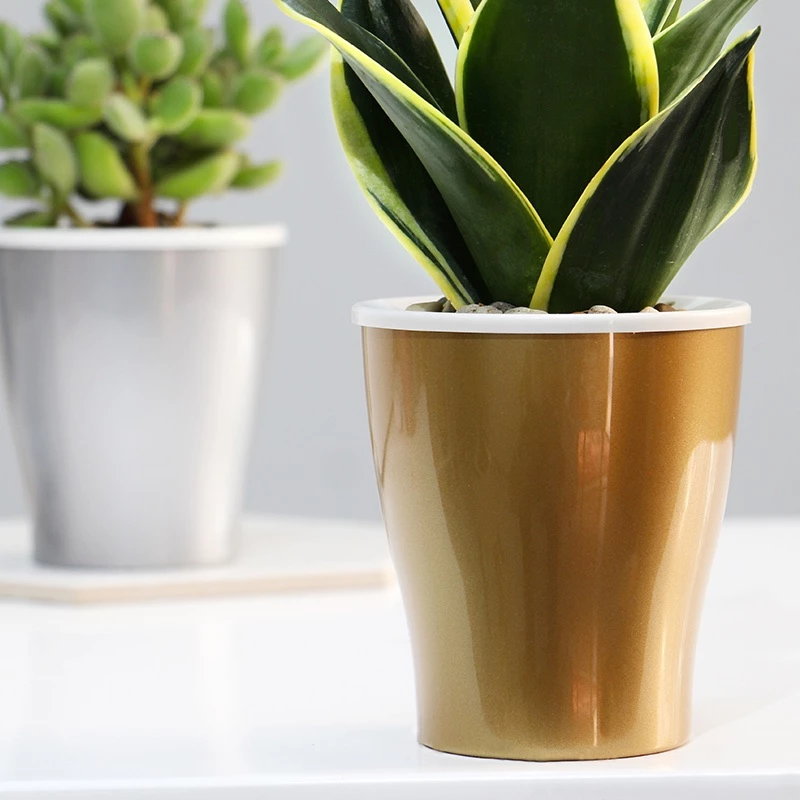 Đặt chậu cảnh trong nhà cần bảo đảm đủ ánh sáng tự nhiên Đặt chậu cảnh trong nhà cần bảo đảm đủ ánh sáng tự nhiên