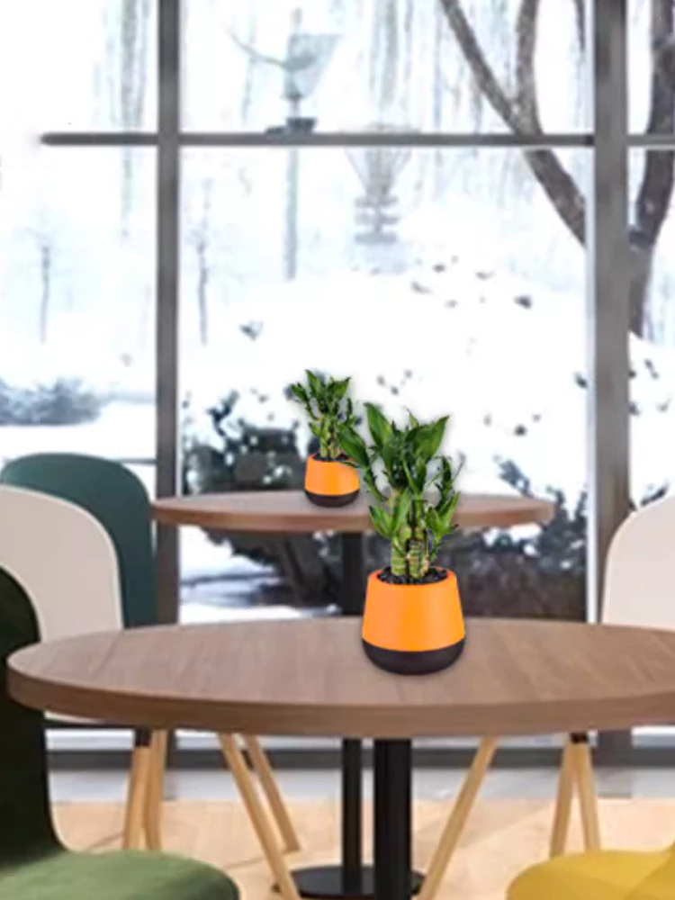 Căn phòng trở thành không gian đẹp với chậu cảnh trong nhà Căn phòng trở thành không gian đẹp với chậu cảnh trong nhà