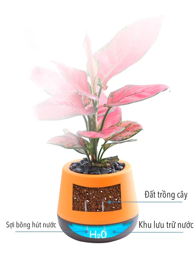 Chậu cây để bàn với màu sắc tươi sáng, là quà tặng dễ thương dành cho bạn Chậu cây để bàn với màu sắc tươi sáng, là quà tặng dễ thương dành cho bạn