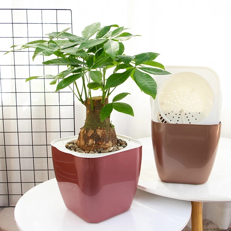 chậu hoa mini để bàn dễ dàng tô điểm cho mọi không gian chậu hoa mini để bàn dễ dàng tô điểm cho mọi không gian