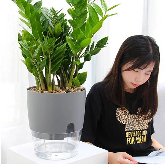 Chậu cây tự tưới nước giúp cây luôn xanh tốt mà không cần tưới hàng ngày Chậu cây tự tưới nước giúp cây luôn xanh tốt mà không cần tưới hàng ngày