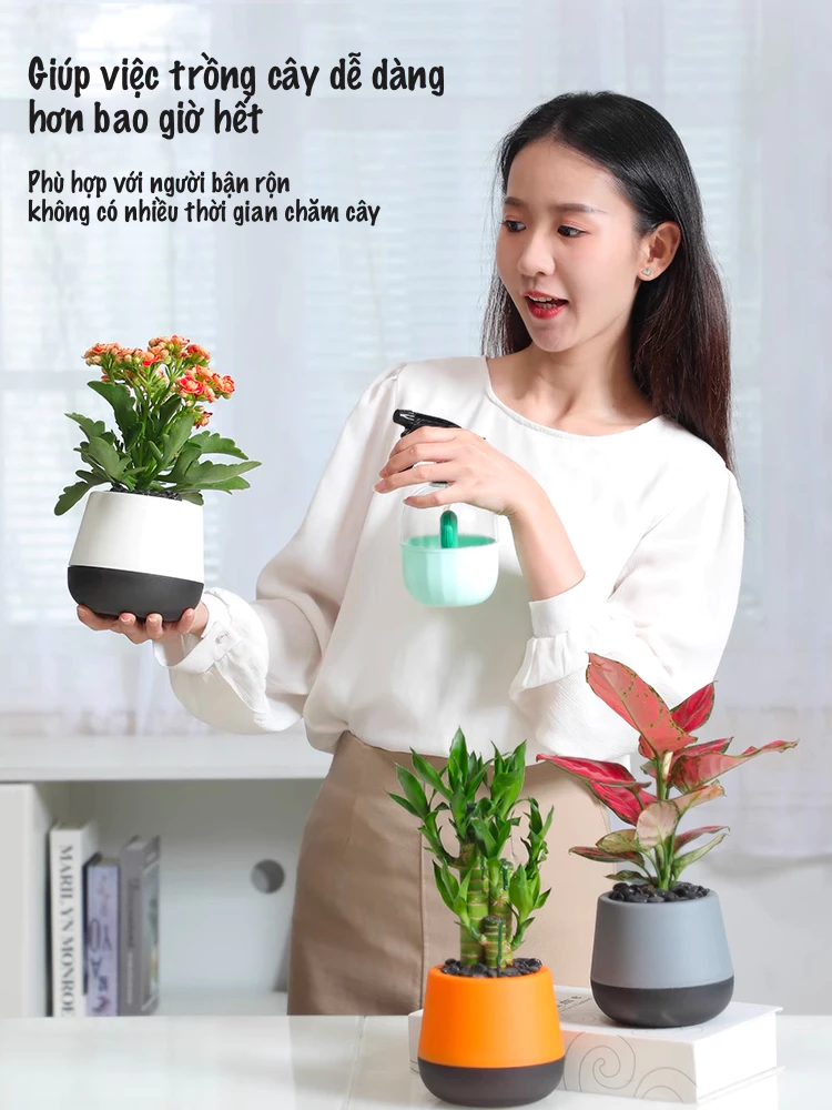 Chậu cảnh để bàn – điểm nhấn tinh tế cho góc làm việc thêm cảm hứng. Chậu cảnh để bàn – điểm nhấn tinh tế cho góc làm việc thêm cảm hứng.