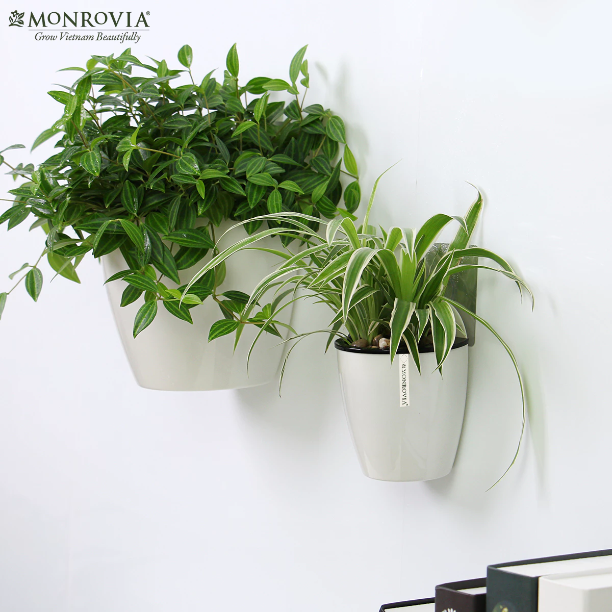 Chậu cây ban công MONROVIA - Mang thiên nhiên vào từng góc nhỏ của không gian sống Chậu cây ban công MONROVIA - Mang thiên nhiên vào từng góc nhỏ của không gian sống