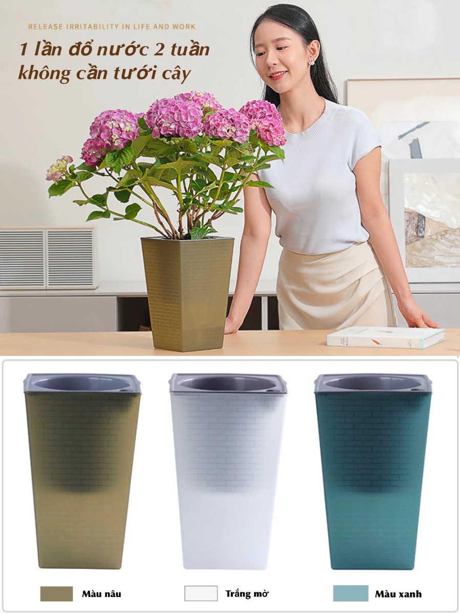 Những mẫu chậu cảnh nhựa thông minh tự tưới đang được ưa chuộng Những mẫu chậu cảnh nhựa thông minh tự tưới đang được ưa chuộng