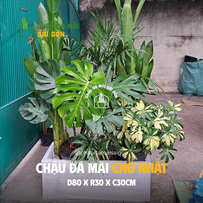 Chậu đá mài xám sang trọng với bề mặt nhám nhẹ tạo điểm nhấn hiện đại và thanh lịch cho không gian sống của bạn. Chậu đá mài xám sang trọng với bề mặt nhám nhẹ tạo điểm nhấn hiện đại và thanh lịch cho không gian sống của bạn.