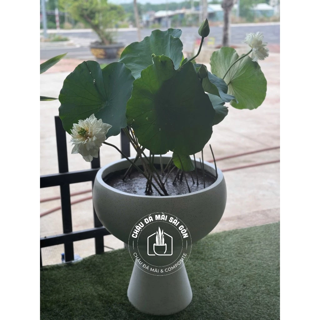 Chậu đá mài giọt nước với thiết kế độc đáo và tinh tế mang đến vẻ đẹp mới lạ đầy ấn tượng cho không gian xanh của bạn. Chậu đá mài giọt nước với thiết kế độc đáo và tinh tế mang đến vẻ đẹp mới lạ đầy ấn tượng cho không gian xanh của bạn.