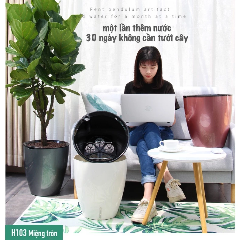 Tham khảo ngay: mua chậu cảnh ở đâu đẹp và giao hàng tận nơi. Hãy nhấp vào hình ảnh nhé. Tham khảo ngay: mua chậu cảnh ở đâu đẹp và giao hàng tận nơi. Hãy nhấp vào hình ảnh nhé.