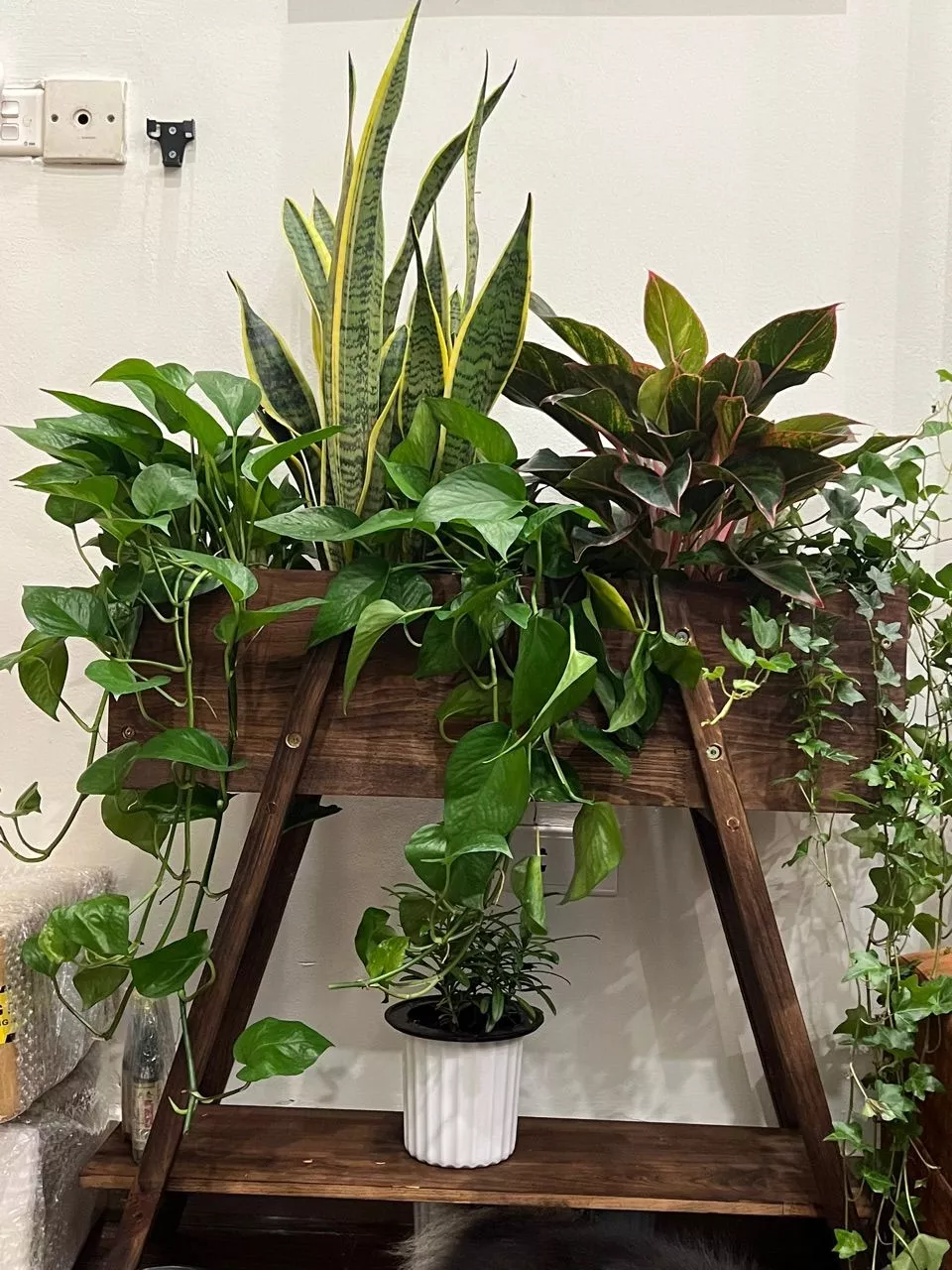 Chậu gỗ trồng cây – Lựa chọn hoàn hảo để tạo không gian xanh mát và tinh tế cho ngôi nhà của bạn. Chậu gỗ trồng cây – Lựa chọn hoàn hảo để tạo không gian xanh mát và tinh tế cho ngôi nhà của bạn.