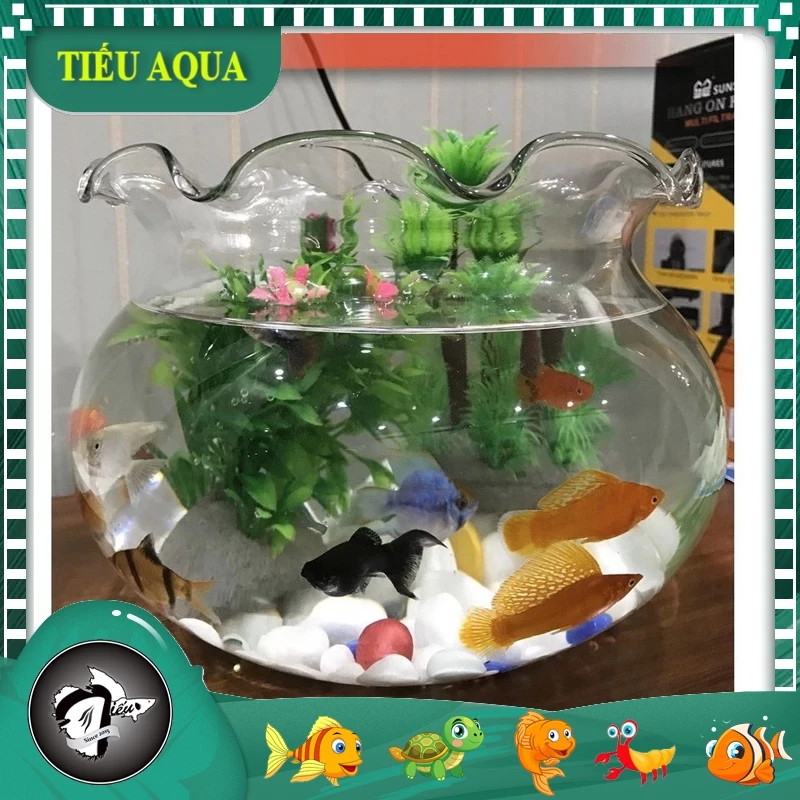 Góc bàn làm việc bừng sáng hơn với chậu hoa thủy tinh tròn bầu trong suốt, nhỏ gọn mà cực kỳ tinh tế. Góc bàn làm việc bừng sáng hơn với chậu hoa thủy tinh tròn bầu trong suốt, nhỏ gọn mà cực kỳ tinh tế.