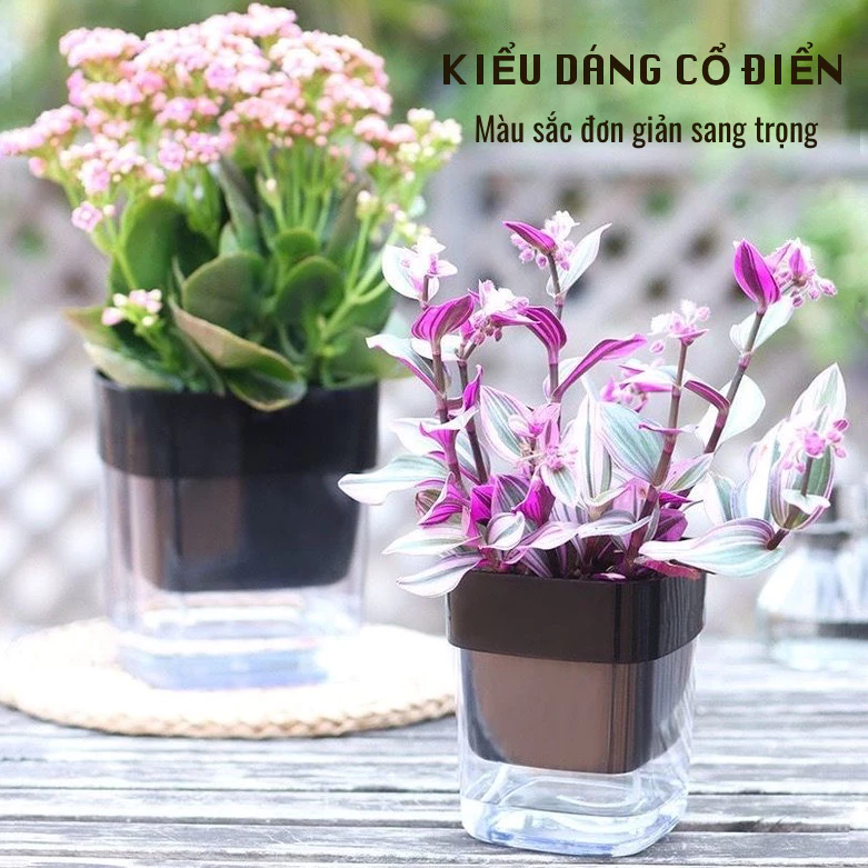 một chậu hoa nhỏ để bàn phù hợp với gu thẩm mỹ riêng sẽ giúp bạn khẳng định cá tính một chậu hoa nhỏ để bàn phù hợp với gu thẩm mỹ riêng sẽ giúp bạn khẳng định cá tính