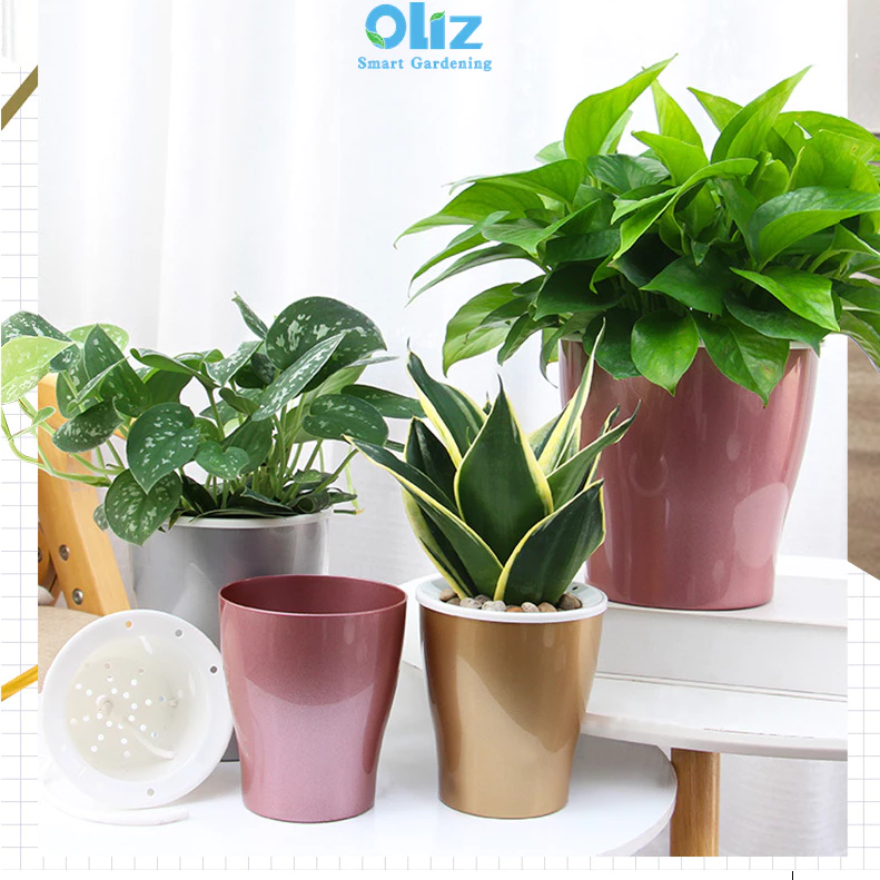 Chậu hoa nhỏ để bàn được trang bị hệ thống tự tưới nước bằng dây cotton Chậu hoa nhỏ để bàn được trang bị hệ thống tự tưới nước bằng dây cotton