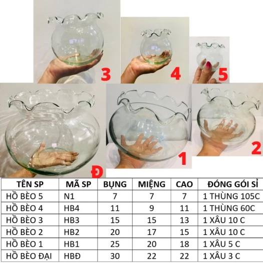 Chậu hoa thủy tinh kết hợp cá cảnh và cây thủy sinh tạo nên một thế giới thu nhỏ xanh mát ngay trong ngôi nhà của bạn. Chậu hoa thủy tinh kết hợp cá cảnh và cây thủy sinh tạo nên một thế giới thu nhỏ xanh mát ngay trong ngôi nhà của bạn.