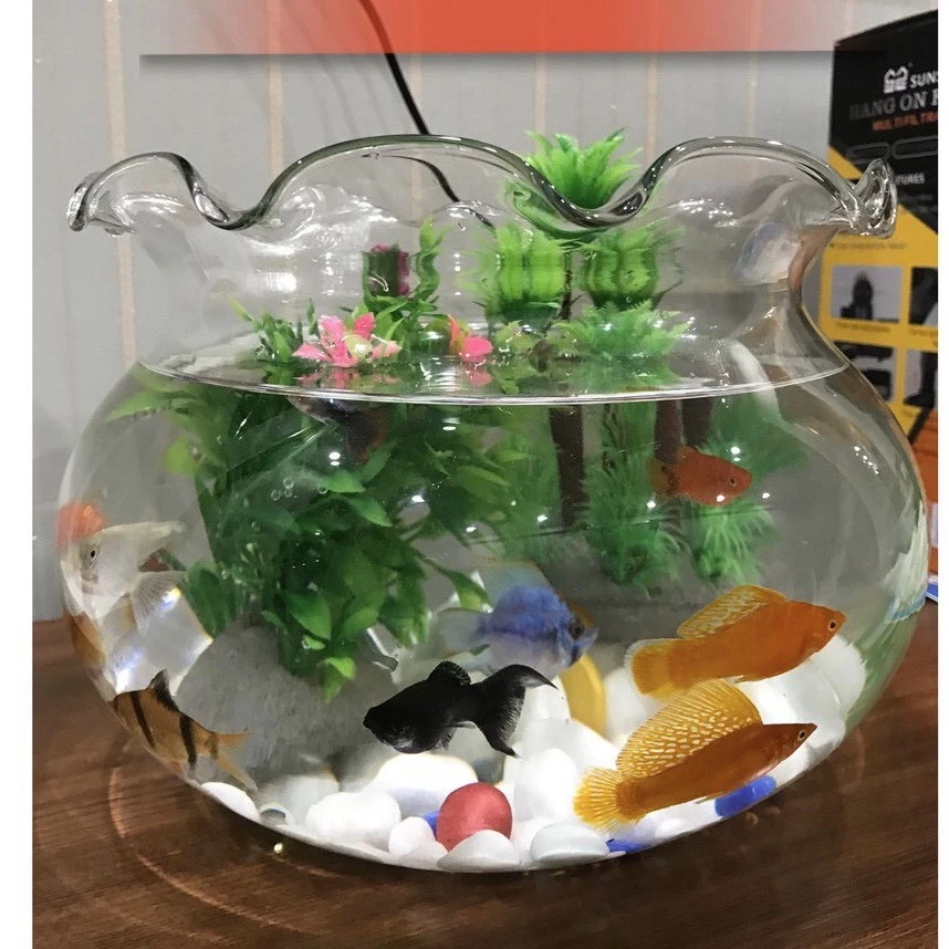 Làm quà tặng bạn bè, người thân với chậu hoa thủy tinh handmade tinh tế, ý nghĩa và dễ dàng phối hợp với mọi phong cách decor. Làm quà tặng bạn bè, người thân với chậu hoa thủy tinh handmade tinh tế, ý nghĩa và dễ dàng phối hợp với mọi phong cách decor.