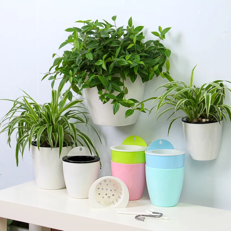 Chậu treo tường Oliz K0 là sự kết hợp hoàn hảo giữa thiết kế thông minh và tính thẩm mỹ cao Chậu treo tường Oliz K0 là sự kết hợp hoàn hảo giữa thiết kế thông minh và tính thẩm mỹ cao