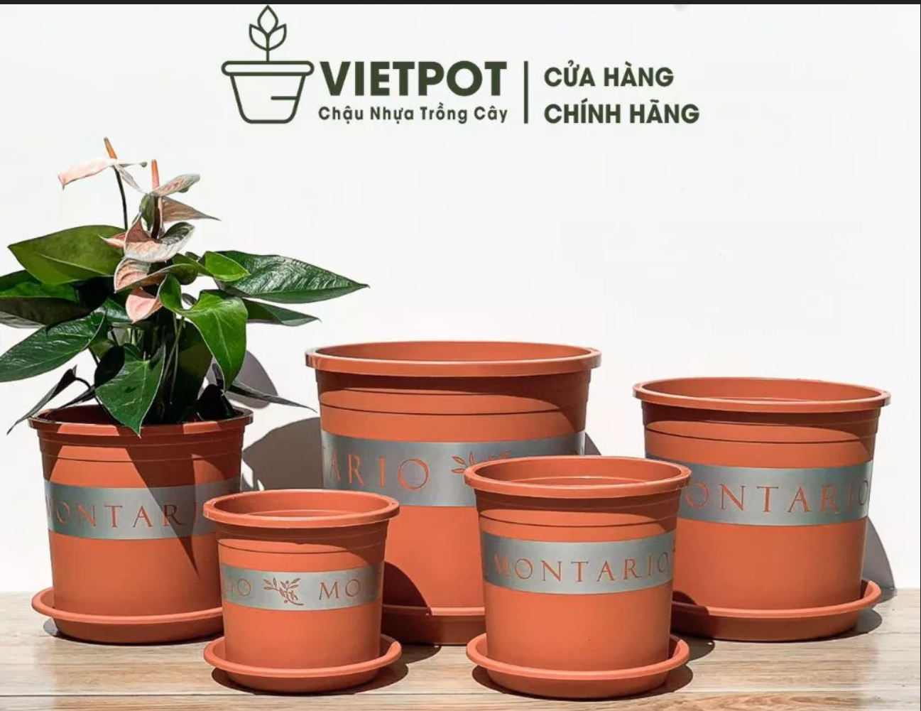 Chậu nhựa trồng cây cảnh VIETPOT, bền bỉ và dễ dàng chăm sóc, là giải pháp lý tưởng để tạo điểm nhấn xanh mát cho không gian sống của bạn. Chậu nhựa trồng cây cảnh VIETPOT, bền bỉ và dễ dàng chăm sóc, là giải pháp lý tưởng để tạo điểm nhấn xanh mát cho không gian sống của bạn.