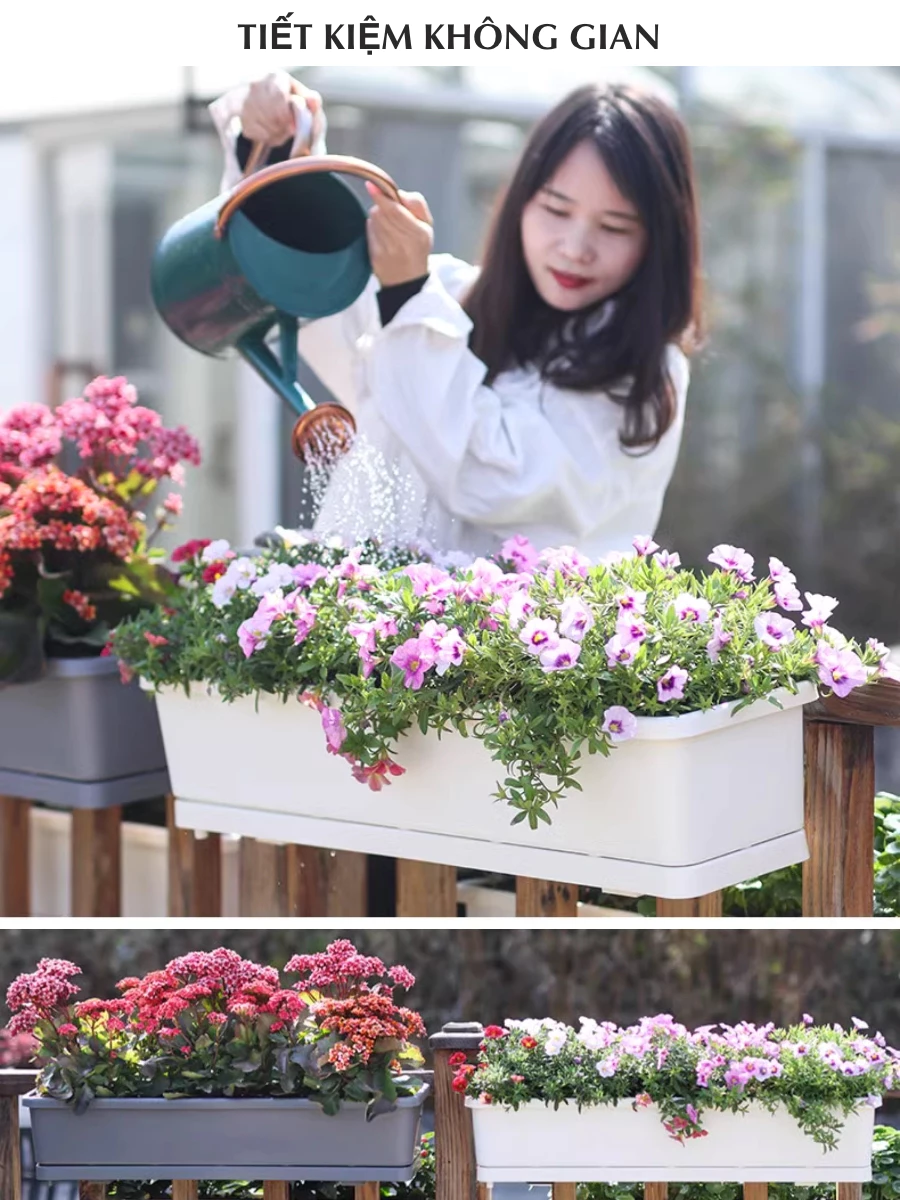 Chậu nhựa cứng trồng cây cho lan can thêm phần thơ mộng Chậu nhựa cứng trồng cây cho lan can thêm phần thơ mộng