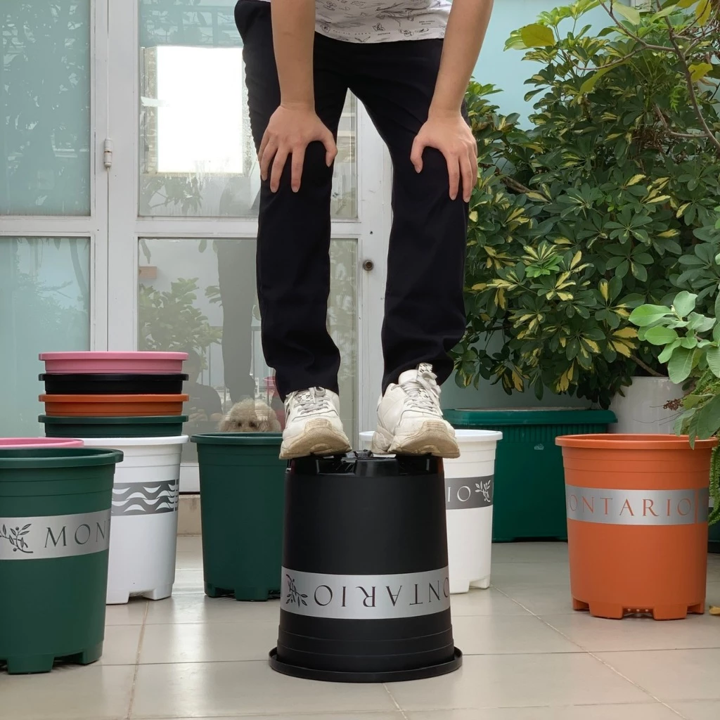 Góc vườn nhỏ xinh bắt đầu từ đây! Khám phá bộ sưu tập chậu nhựa trồng cây đa dạng, giá cực yêu thương Góc vườn nhỏ xinh bắt đầu từ đây! Khám phá bộ sưu tập chậu nhựa trồng cây đa dạng, giá cực yêu thương