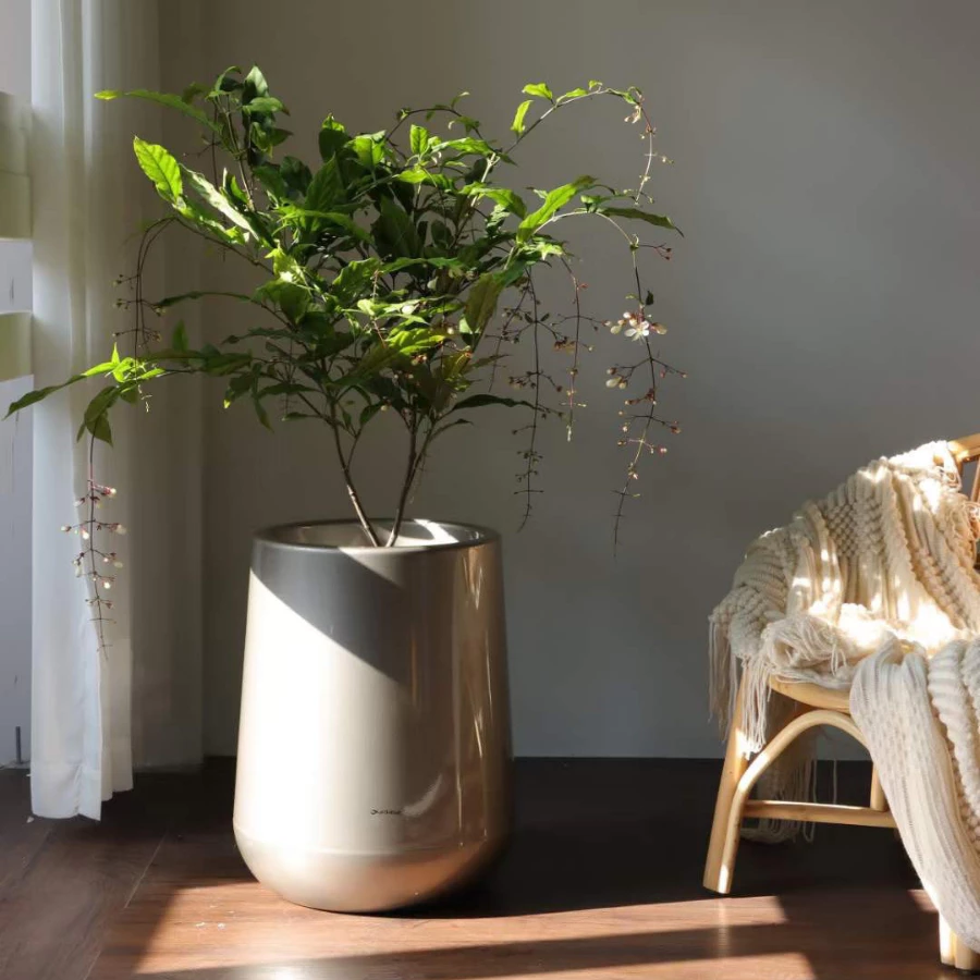 Loại Chậu nhựa to trồng cây này giúp cây phát triển mạnh mẽ, tạo không gian xanh tươi cho ngôi nhà, đồng thời tiết kiệm diện tích với thiết kế gọn gàng Loại Chậu nhựa to trồng cây này giúp cây phát triển mạnh mẽ, tạo không gian xanh tươi cho ngôi nhà, đồng thời tiết kiệm diện tích với thiết kế gọn gàng